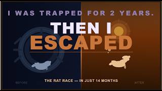 Financial Freedom | Escape the rate race