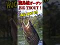 【エリアトラウト】鹿島槍ガーデン BIG TROUT 高活性! #fishing