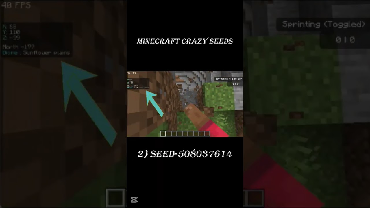 Minecraft crazy seeds 
