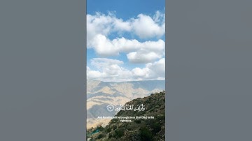 سورة الشعراء #ياسر_الدوسري #قرآن #سبحان_الله #تلاوة_خاشعة #اكسبلور #اجر_لي_ولك #quran #explore