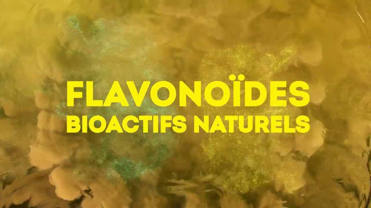 Lipton Thé vert Flavonoides 15s  16 9
