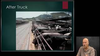 Feedbunk Management; Key to Animal Health and Performance