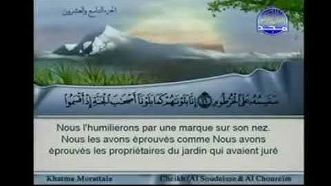 الجزء التاسع والعشرون 29 من القرآن الكريم بصوت الشيخين السديس والشريم
