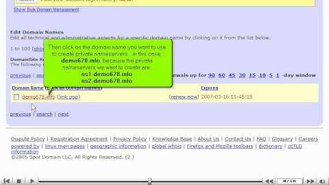 Creating Private Nameservers at DomainSite.com