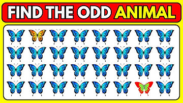 Find the Odd One Out - Animals Edition | Easy, Medium, Hard- Level 55 | Mindful Mosaic 2.0