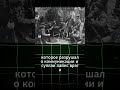 Необычные тактики партизанской войны в Великой Отечественной