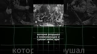 Необычные тактики партизанской войны в Великой Отечественной