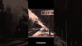 Akcja pod Celestynowem #historia #history #polska