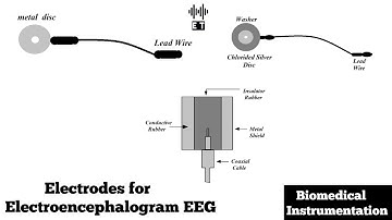 Electrodes for Electroencephalogram (EEG) | Biomedical Instrumentation and Measurement