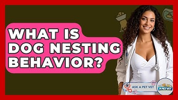 What Is Dog Nesting Behavior? - Ask A Pet Vet