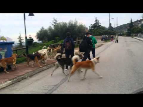 Μαθητές ανάμεσα σε