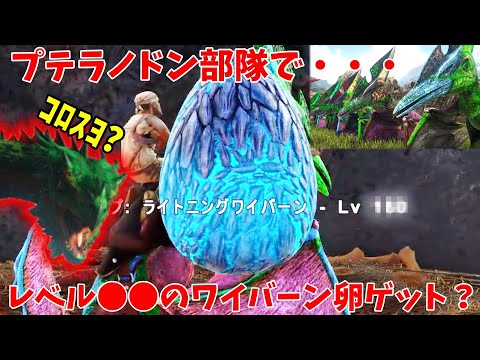 Ark ロストアイランド 28 レベル の超高レベルのライトニングワイバーンの卵をゲット プテラノドン軍団を作ってワイバーンの巣に突撃した結果 アーク Lost Island Youtube