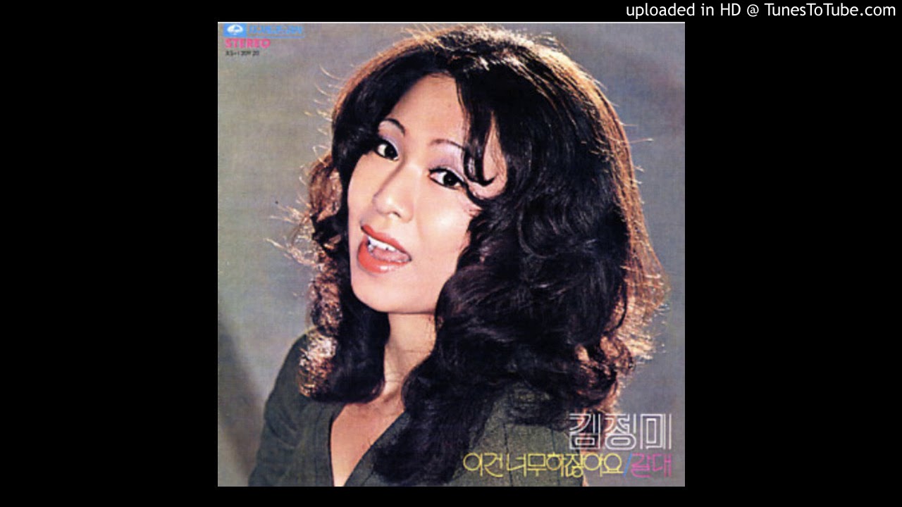 KIM JUNG MI - 나는 바보인가 봐