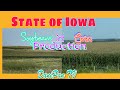 State of iowa famous of corn and soybeansdanipan tv