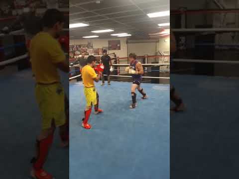 The compound gym