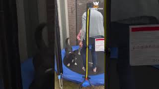 Viking Choice Blauwe Trampoline 183 Cm Met Veiligheidsnet Veilig En Leuk Voor Kinderen