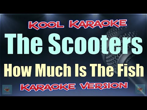 Scooter - How Much Is The Fish (Karaoke version) VT