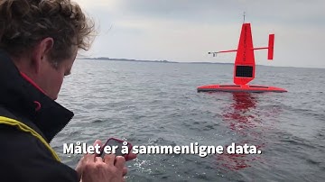 Estimating fish stocks with drones and vessels