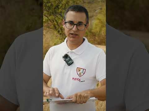 Francisco Pozo nos
