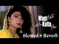 Waqt Kate Nahi Kat Ta Hain //Old// Jhankar.(Slowed+Reverb) Song //Vipin Sachdeva//Anuradha Paudwal//