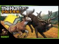 Diamond Mule & Whitetail Deer On Rancho Del Arroyo Multiplayer! Call of the wild