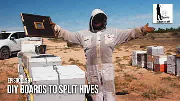 Split Hive Tips: How to Split a Beehive & Using DIY Boards to Split Bees | The Bush Bee Man