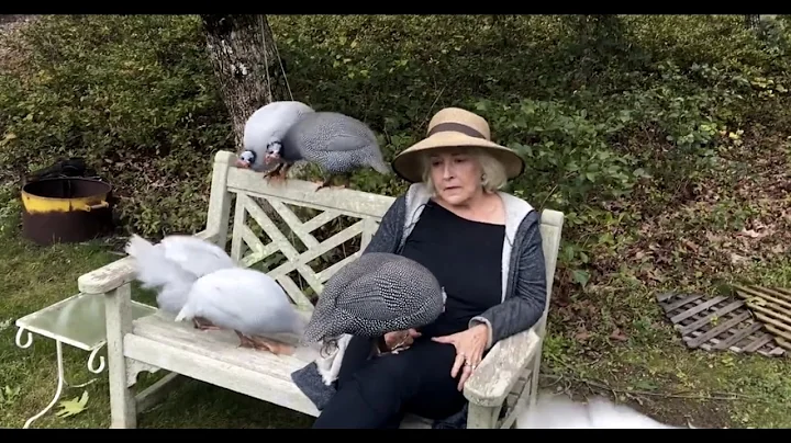 Lynne Adams and her guinea fowl - All Downhill Fro...