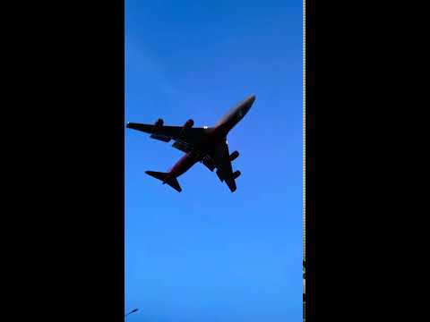 Vídeo: Quin aeroport és RSW?