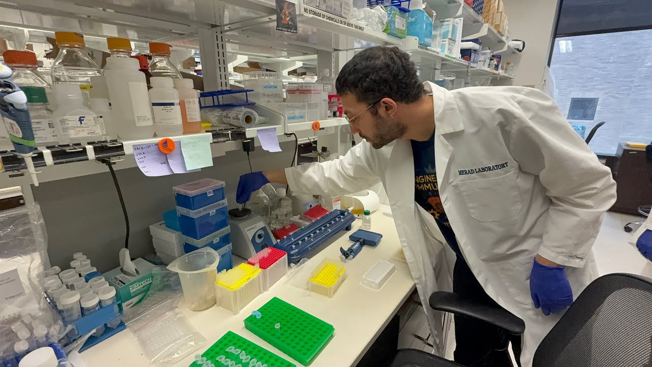 Перепрограммирование иммунной системы для борьбы с колоректальным раком | Джесси Бумельха, доктор...