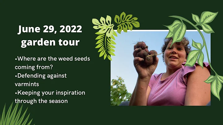 RuthAnn's June 29th Garden Tour