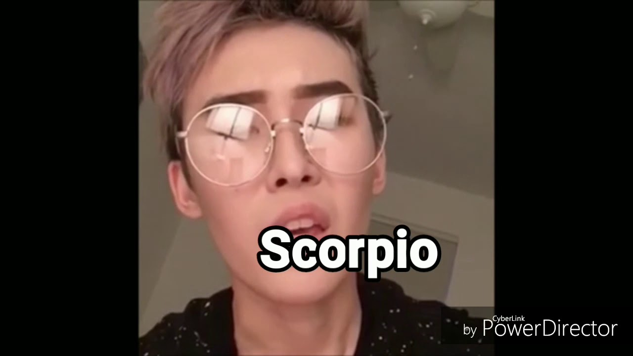 Zodiac Signs As Vines #1