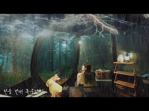 천둥 번개가 내리치는 숲 속에서 폭우 캠핑 / 1초 원터치 투명 텐트 / 나홀로캠핑 / 대하 구이와 붕어빵 /  캠핑브이로그