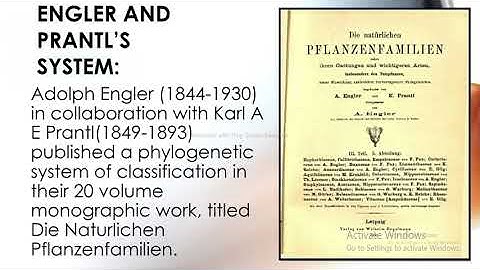 Classification system of Engler and Prantle