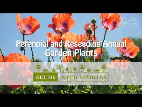 Perennial and Reseeding Annual Garden Plants