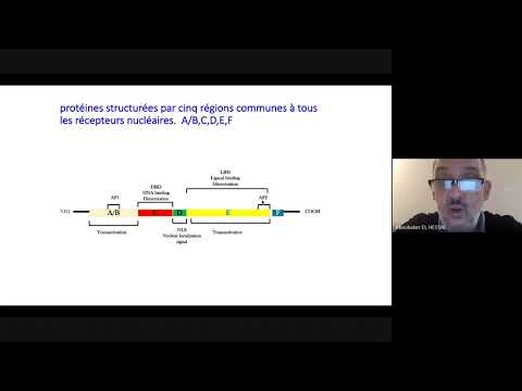 Vidéo: Hypoxie Et Stress Oxydatif Dans Le Cancer Du Sein Voies De Signalisation De L'hypoxie