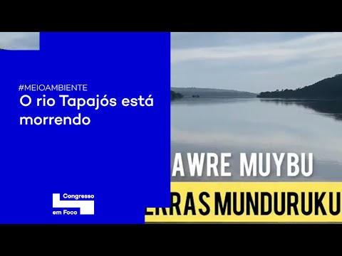 O rio Tapajós está morrendo, alerta ambientalista