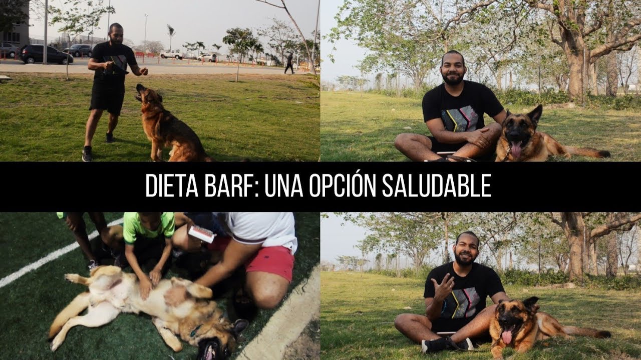 ¿🍗 Opción SANA de 🥩 ALIMENTO para tu 🐶 PERRO? Dieta BARF | THE LESS ORDINARY VLOG