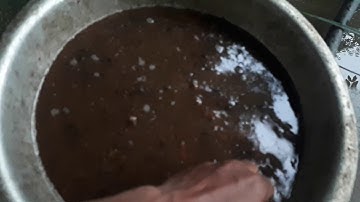 Xử lý hạt gáo việt nam.