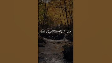 يُعْرَفُ الْمُجْرِمُونَ بِسِيمَاهُمْ #سورة_الرحمن بصوت| محمد سالم غازي