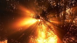 Miniatura de vídeo de "Hosanna: Duchu Svätý príď (Rieka života)"