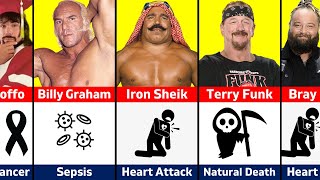How WWE Wrestlers Died in 2023