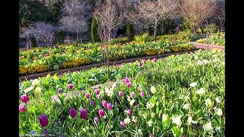 تلاوة خاشعة من سورة الشورى للقارئ -عبدالله الموسى-