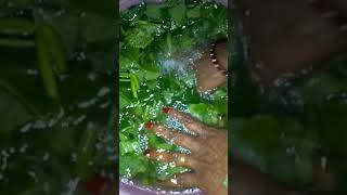 How to make Parangi Kirai Sundal Pumpkin Leaves easy home made tasty Sundal