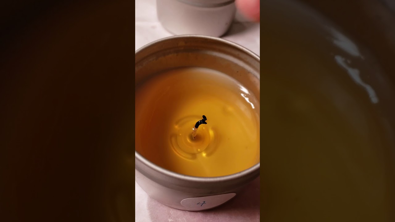 Candle Burn Test Coconut Soy wax