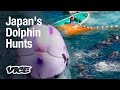Inside Japan's Global Dolphin Trade | *Trigger Warning: Graphic Content*