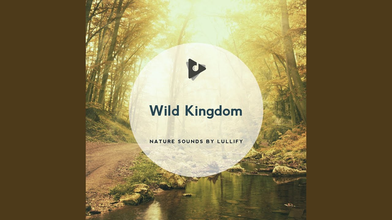 Watch Outdoor Oasis on YouTube Watch Outdoor Oasis on YouTube