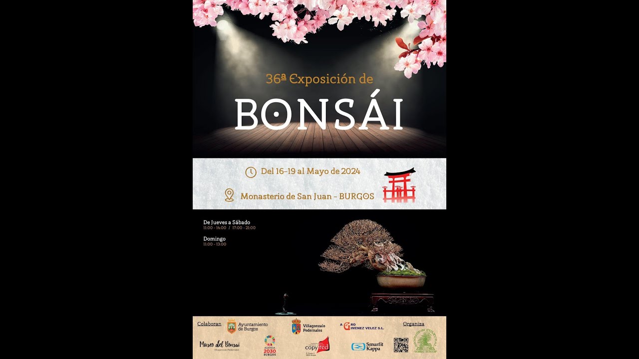 36ª Exposición Bonsái - Burgos 16/05/2024-19/05/2024