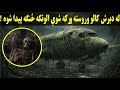له دیرش کالو وروسته ورکه شوي الوتکه څنګه او چیرته پیدا شوه