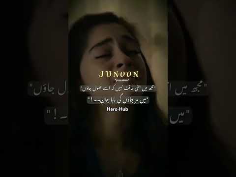 7 Stages Of Love ISHQ True Love Never Dies Hero Hub Ishq Love Lines Death Trending Foryou 