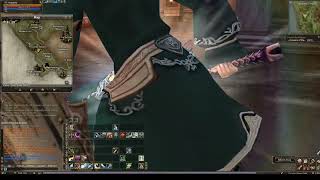 Trial Of Pilgrim (Class Change) Lineage 2 Reborn x1 Origin
